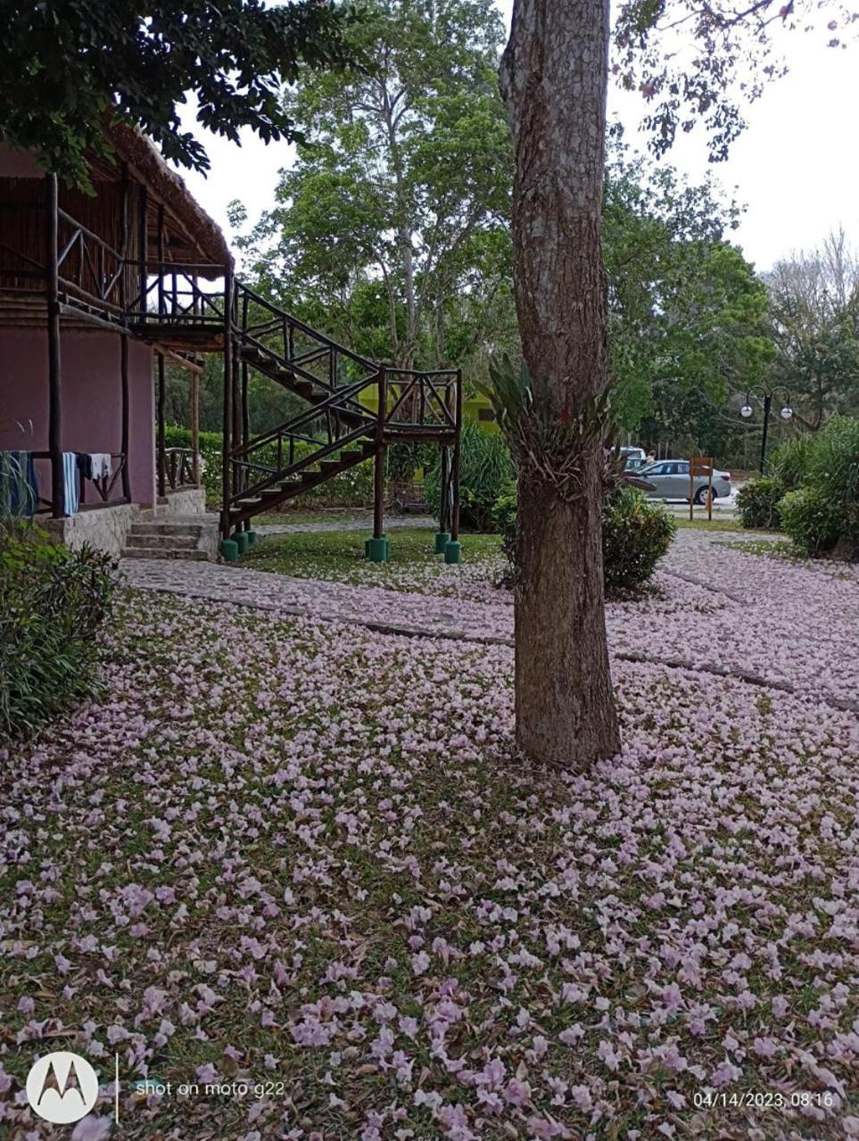 Hotel Hotel Villas Chicanna *