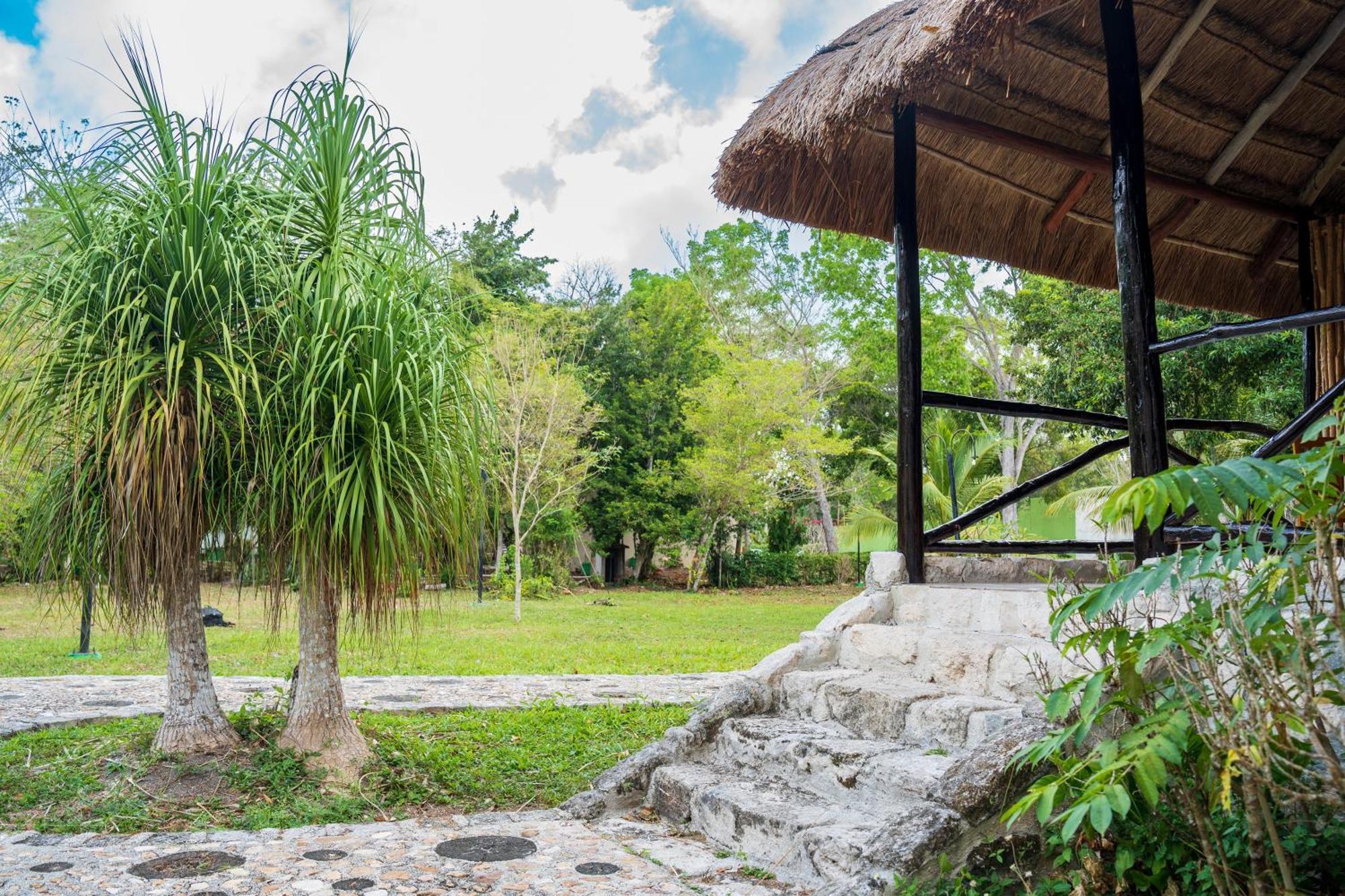 Hotel Hotel Villas Chicanna Chicanna