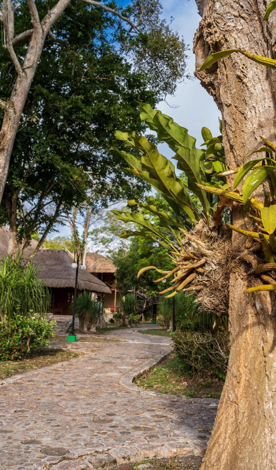 Hotel Hotel Villas Chicanna *